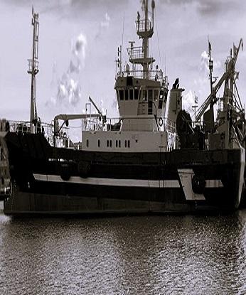 14th Sept 2023  FREEZER TRAWLER FOR SALE - MULTIPURPOSE VESSEL WITH HUGE POTENTIAL