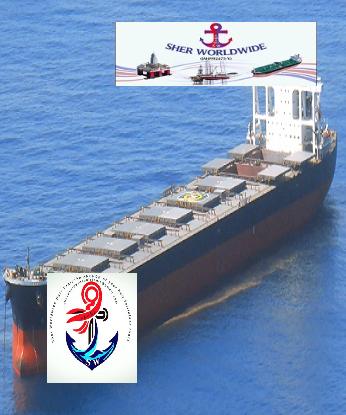 Sher Worldwide, M/V TBN, Bulk Carrier for Sale, High Capacity Cargo Vessel, IMABARI SHIPBUILDING CO.