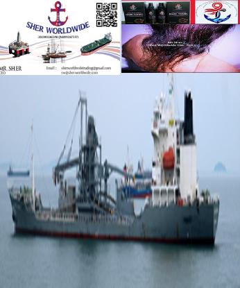 Sher Worldwide, Ship Sale, Cement Carrier, Honda Shipbuilding, NK Class, Loadable Cement, Mechanical