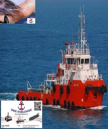 Sher Worldwide, Ship Buyers, Ship Owners, 43M AHT for sale, Salvage Tug, Class BV, Yanmar Engines, F
