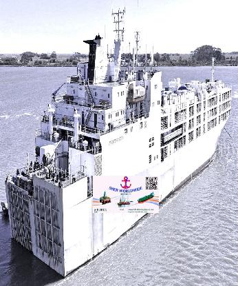 livestock carrier for sale, livestock vessel, cattle carrier, livestock ship, livestock transport sh