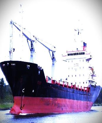 10,334 DWT General Cargo Vessel Built in 2005 for Sale - SHER Worldwide