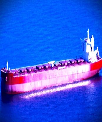 Modern VLOC Ore Carrier 261761 DWT Built 2017 China for Sale - SHER Worldwide